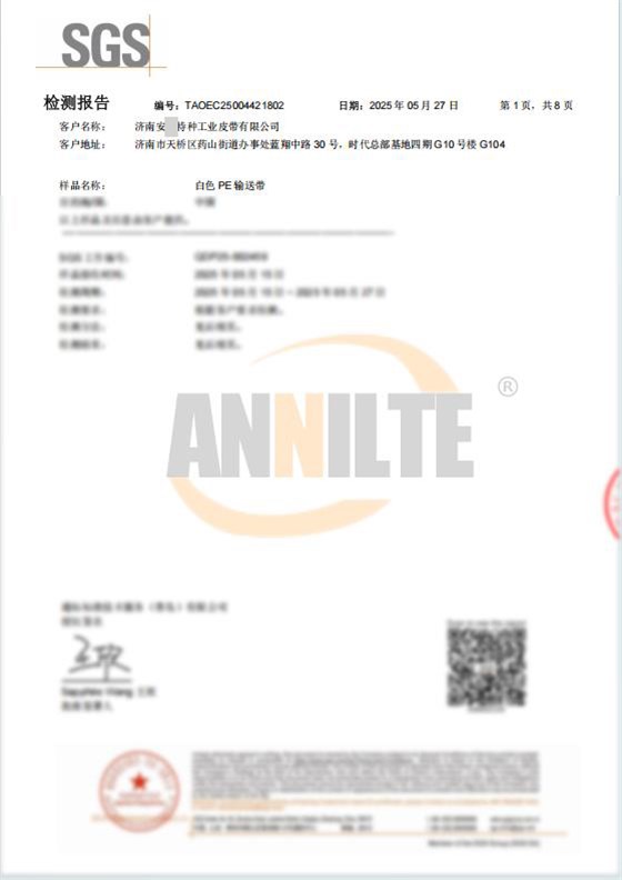白色PE输送带检测报告