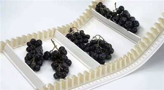 食品输送带：岳脱得精光让我挺进去视频-国产精品午夜无码体验区-丰满老熟妇BBBBB搡BBB-美女被大J插-国产午夜精品理论片特种工业皮带