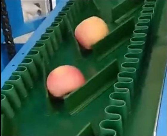 微信图片_20210514113844