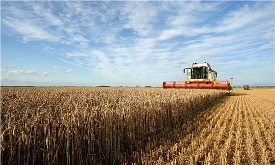 联合收割机输送带