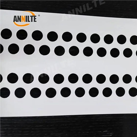 perforated_egg_belt_04_看图王