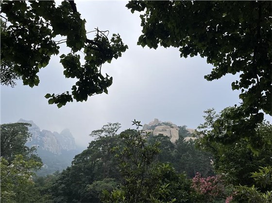 2024_08_31_09_50_IMG_0420_看图王