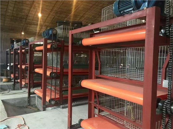 兔舍清粪带0927-5