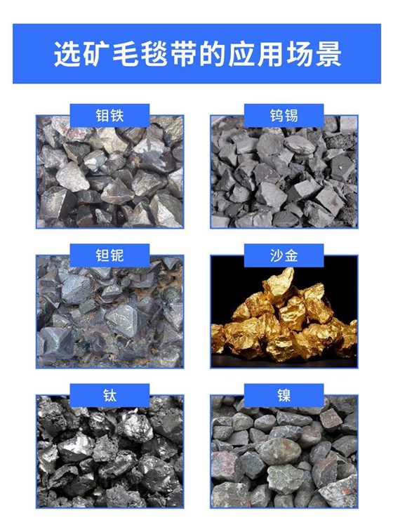 选矿毛毯带1016-3