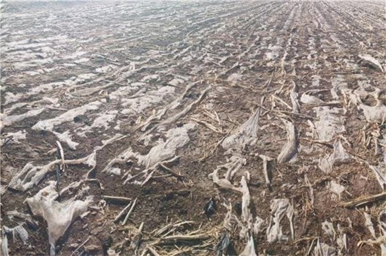 土壤污染防控计划-3