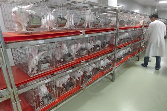 清粪带制药厂-5