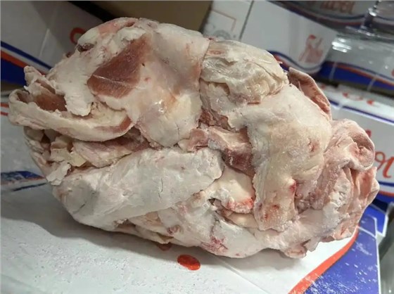 生脂肪输送带0124-2