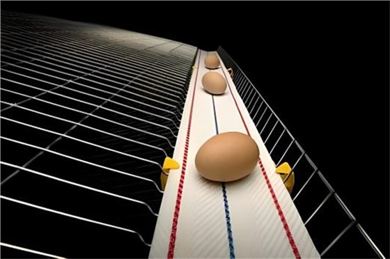 打孔捡蛋带0219-1