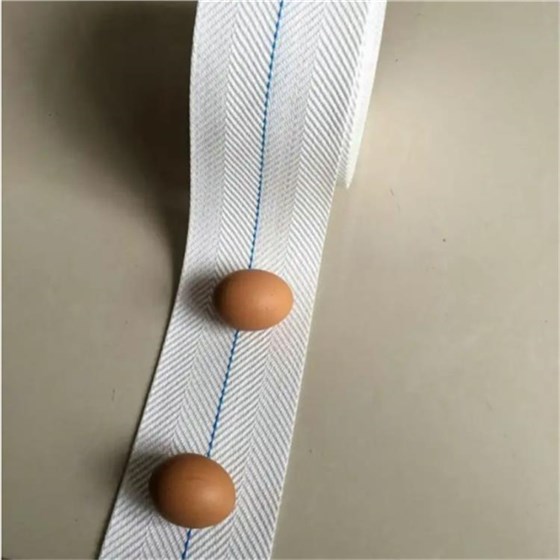 打孔捡蛋带0219-3