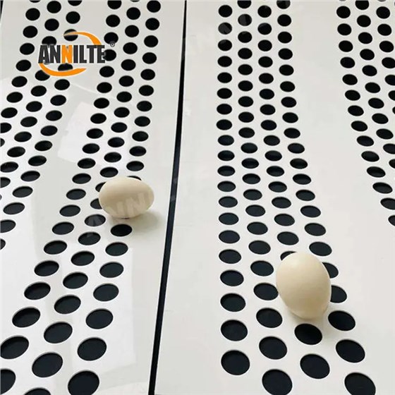 打孔捡蛋带0224-3