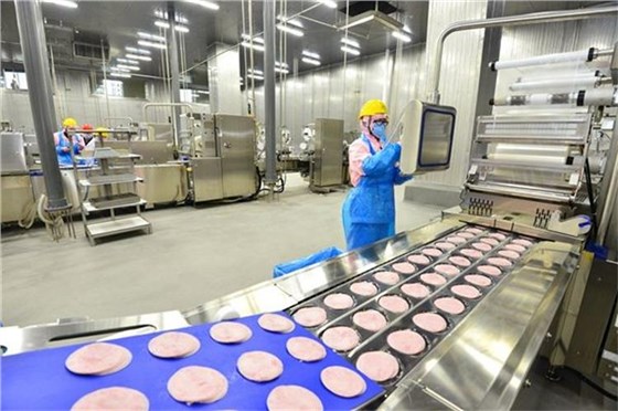 切片分份机皮带0628-2