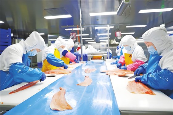 切鱼机皮带0702-1