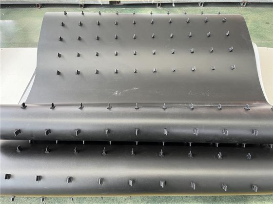 光选机皮带0729-4