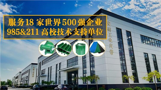 PVC输送带厂家0825-12