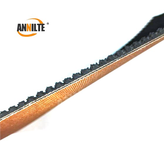 滑雪场魔毯输送带0930-5