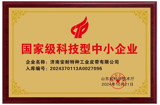 国家级科技型中小企业-1