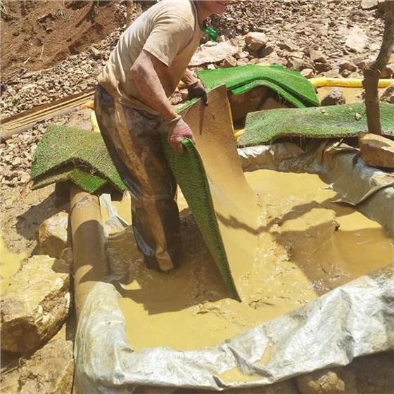 淘金草输送带1018-3