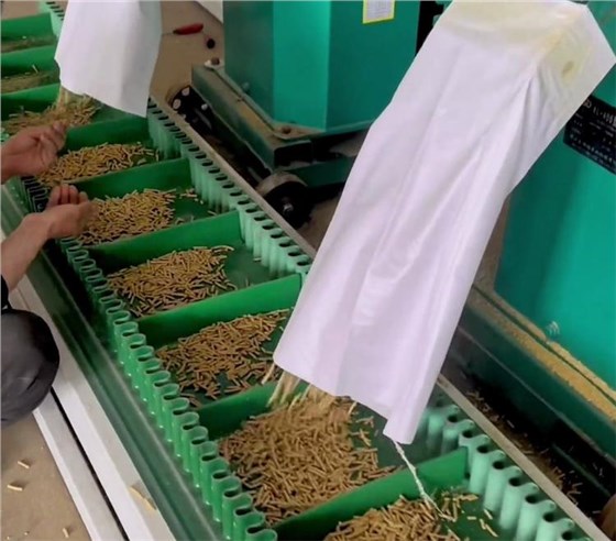 裙边挡板输送带0313-1