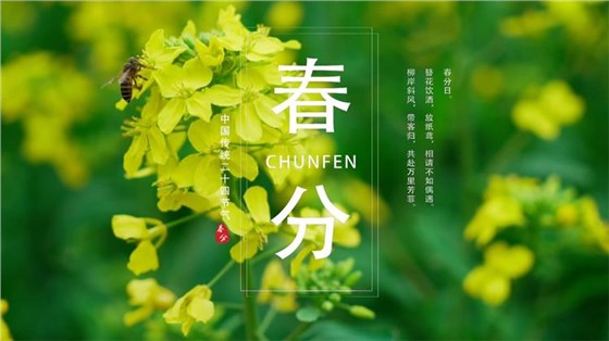 春分-1