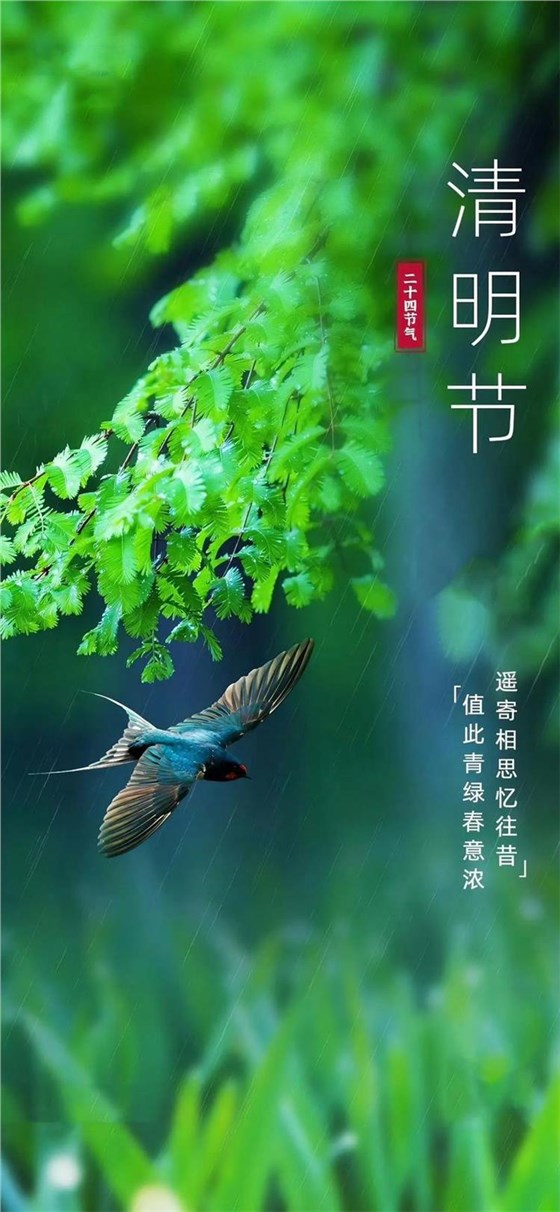 清明0403-9