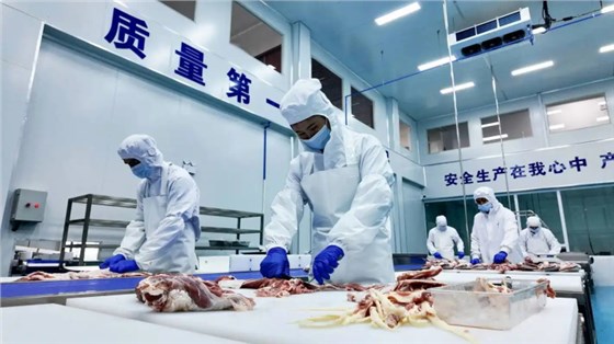 张雪机车-4