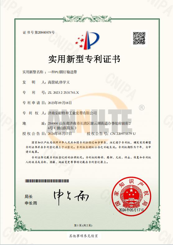 一种PU圆钉输送带专利