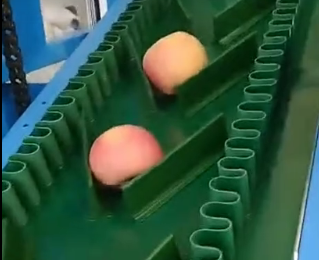 微信图片_20210514113844