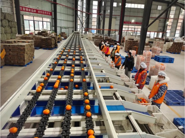 微信图片_20231109170839