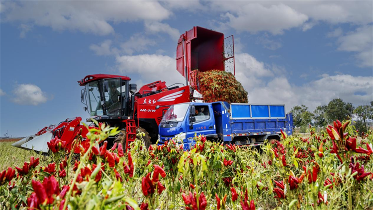 8bfbdb7915254d2d833aed8a7db7d471