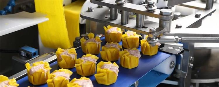 食品输送带0814-2