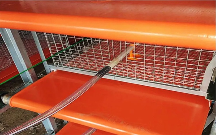 兔舍清粪带0927-2