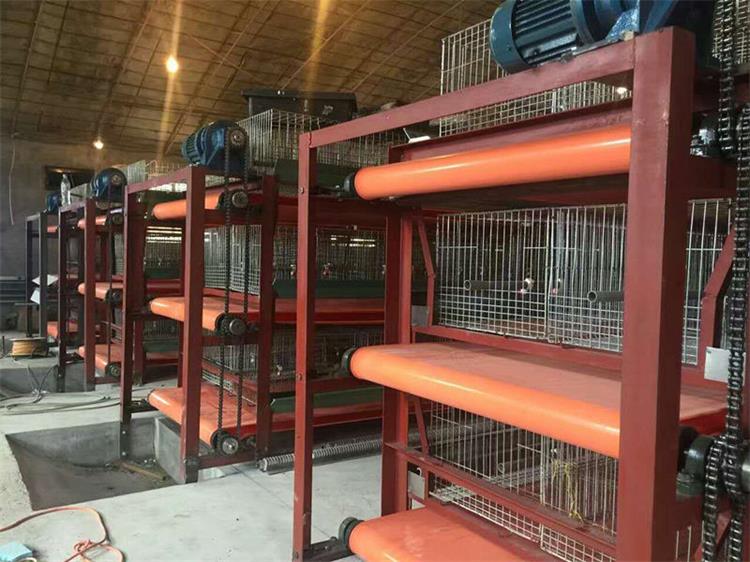 兔舍清粪带0927-5