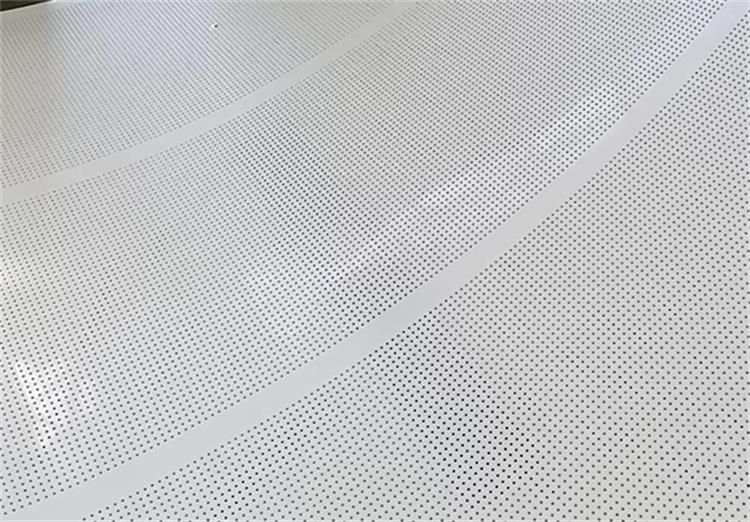 鸡粪烘干输送带4