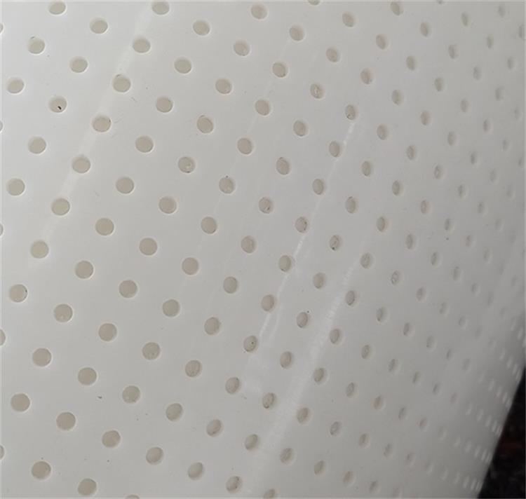 鸡粪烘干输送带2