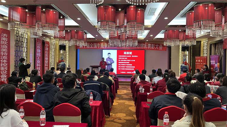 牛商争霸赛总结2