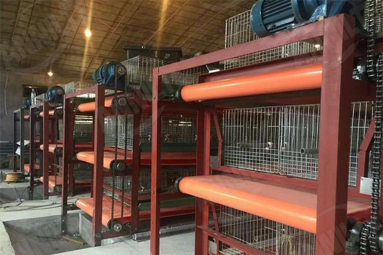 清粪带制药厂-6