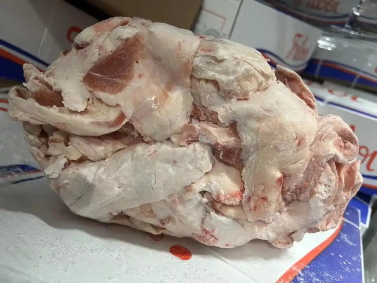 生脂肪输送带0124-2