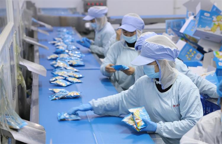 切片分份机皮带0628-9