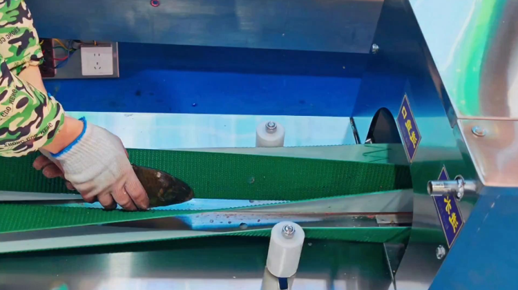 切鱼机皮带0702-2