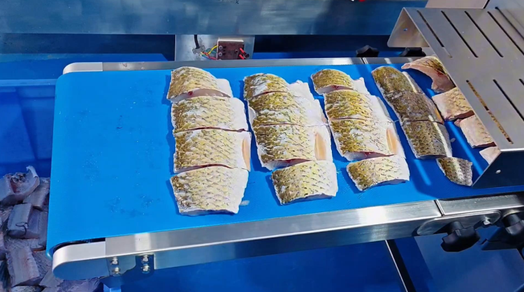 切鱼机皮带0702-5