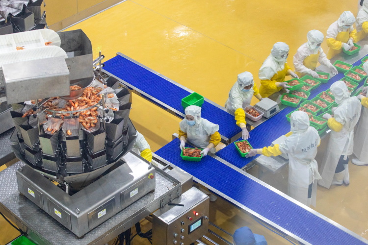 食品输送带0924-1