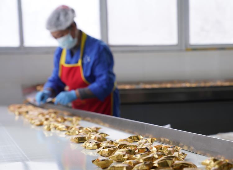 食品输送带0924-4