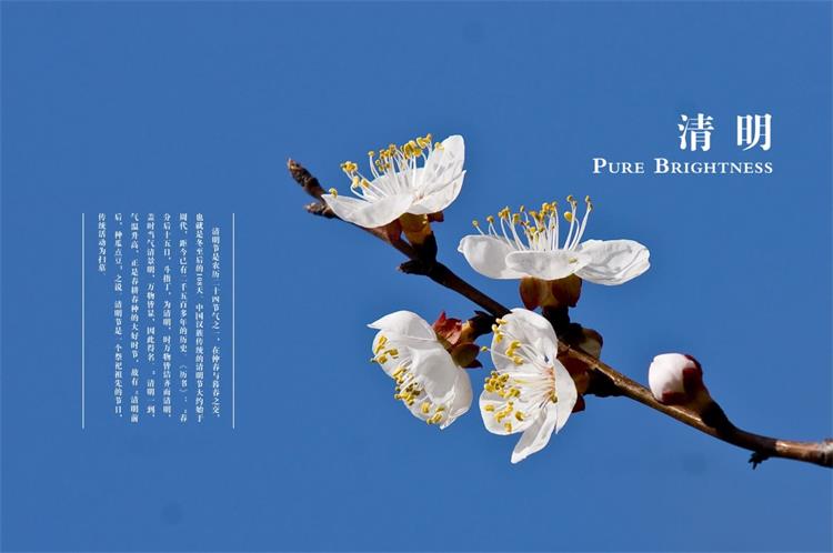 清明0403-8