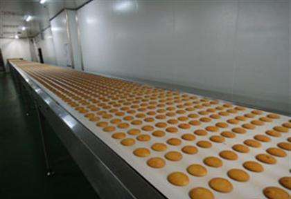 饼干输送带 饼干输送带