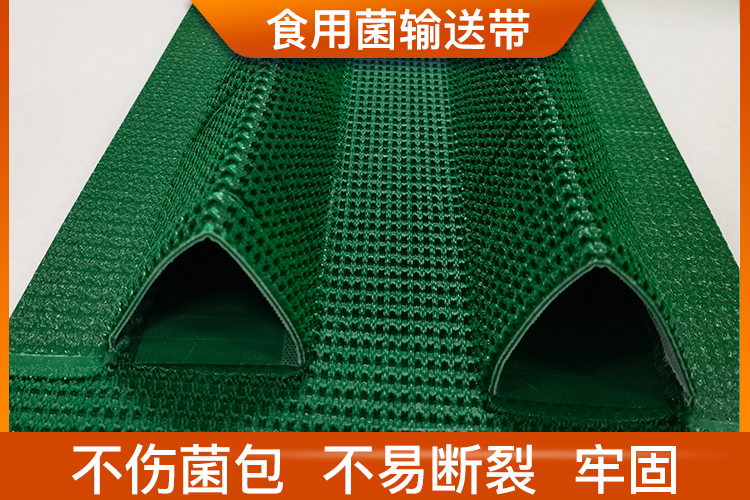 食用菌输送带 食用菌输送带
