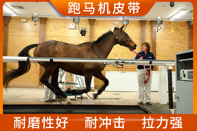 跑马机皮带