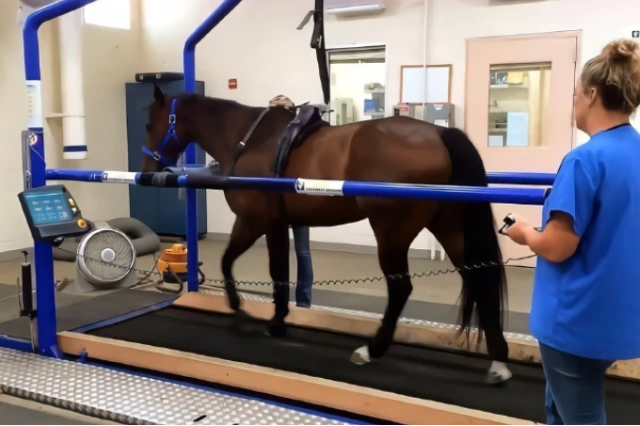 微信图片_20231121095247