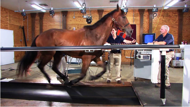 微信图片_20231121095251