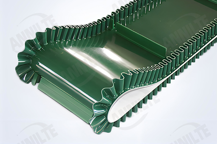 生物质颗粒输送带1