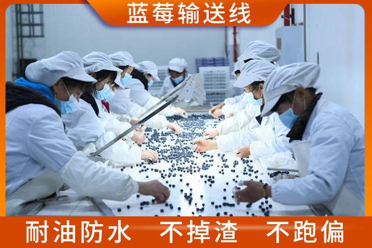 蓝莓输送线 蓝莓输送线